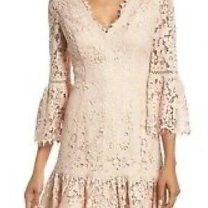 Eliza J Blush Lace Dress  8P